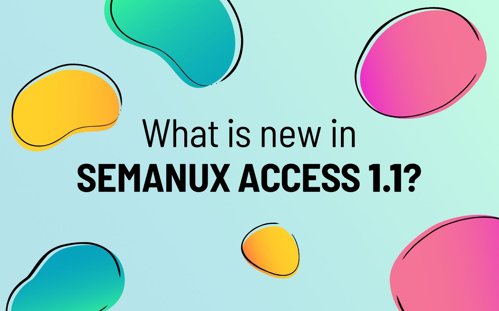 What is new in Semanux Access 1.1?