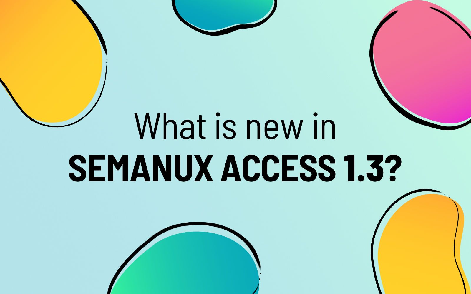 What is new in Semanux Access 1.3?